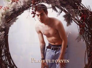 Playfultorvin