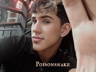 Poisonsnake