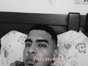 pollbigdick Pink Center Fold