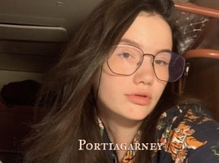 Portiagarney