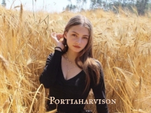 portiaharvison Pink Center Fold