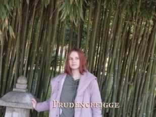 Prudencefigge