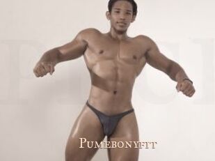 Pumebonyfit