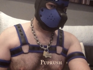 Puprush