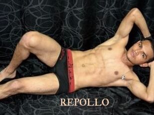 REPOLLO