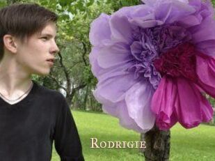Rodrigie
