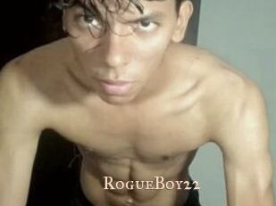 RogueBoy22