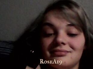 RoseA19 Pink Center Fold