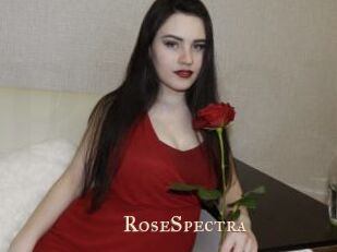 RoseSpectra Pink Center Fold