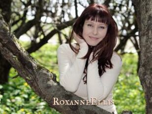 RoxanneEllis Pink Center Fold