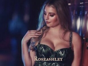 roseashley Pink Center Fold