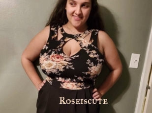 roseiscute Pink Center Fold