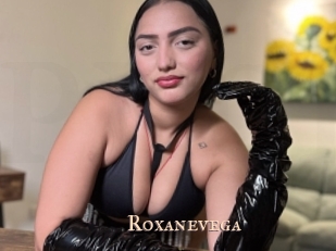 roxanevega Pink Center Fold