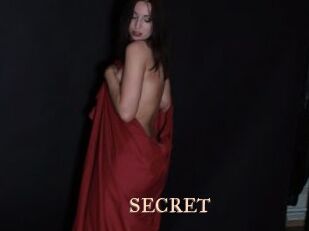 SECRET Pink Center Fold