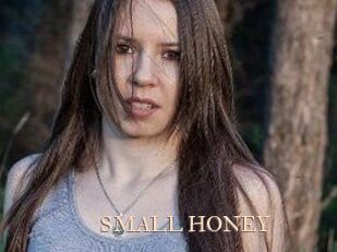 SMALL_HONEY