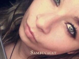 Sambucacat