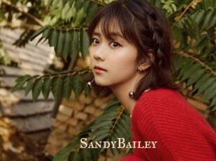 SandyBailey