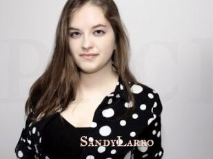 SandyLarro Pink Center Fold