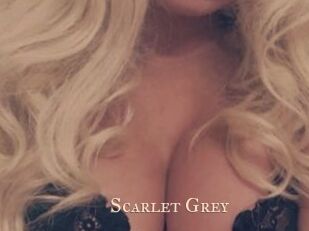 Scarlet_Grey Pink Center Fold