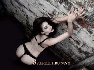 Scarletbunny