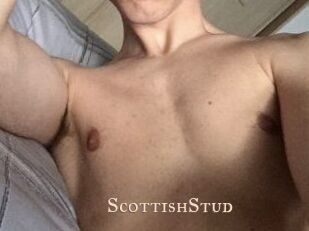 Scottish_Stud