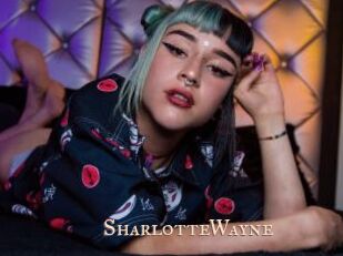 SharlotteWayne Pink Center Fold
