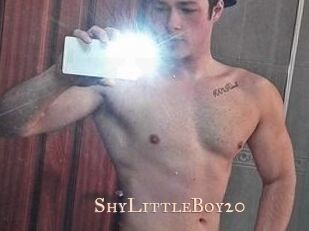 ShyLittleBoy20