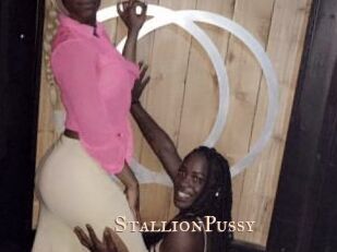 StallionPussy Pink Center Fold