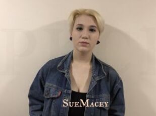 SueMacey Pink Center Fold