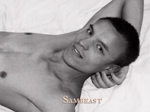 sambeast Pink Center Fold