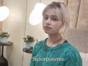 Sandyshayes