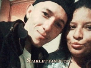 scarlettandtony Pink Center Fold