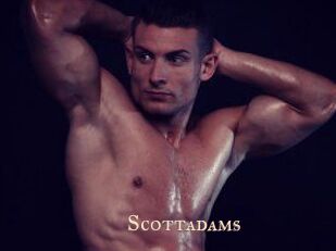 Scottadams