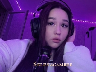 Selenagambee