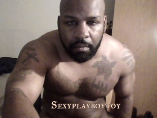 Sexyplayboytoy