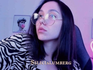 Silicialumberg