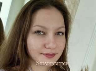 Silverbeech