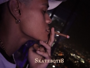 Skateboy18