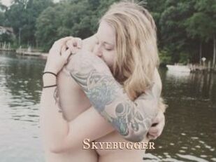Skyebugger