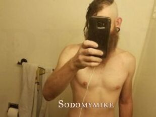 Sodomymike