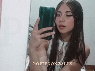 sofiegonzales Pink Center Fold
