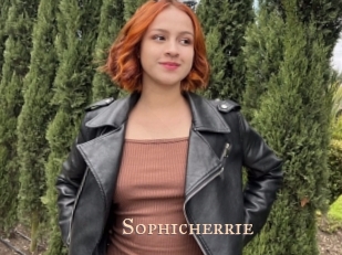 Sophicherrie