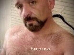 Spunbear