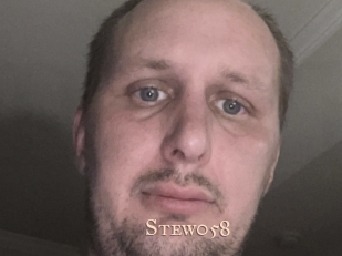 Stew058