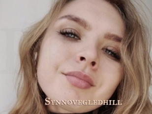 Synnovegledhill