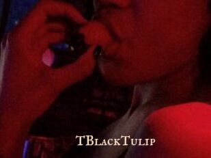 TBlackTulip
