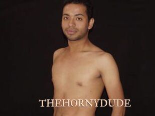 THEHORNYDUDE