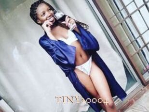 TINY20004