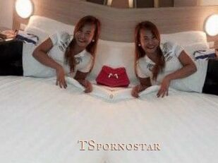 TSpornostar Pink Center Fold