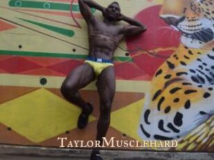 TaylorMusclehard